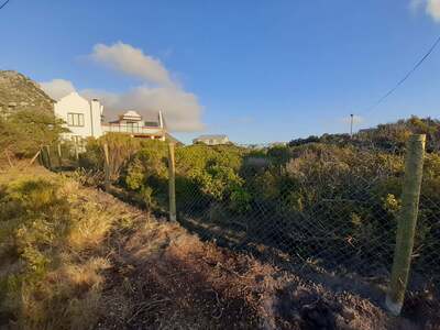 Chainlink Fence